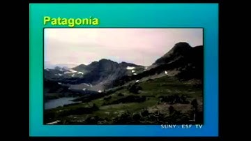 Global Environment - Evolution (part 1)