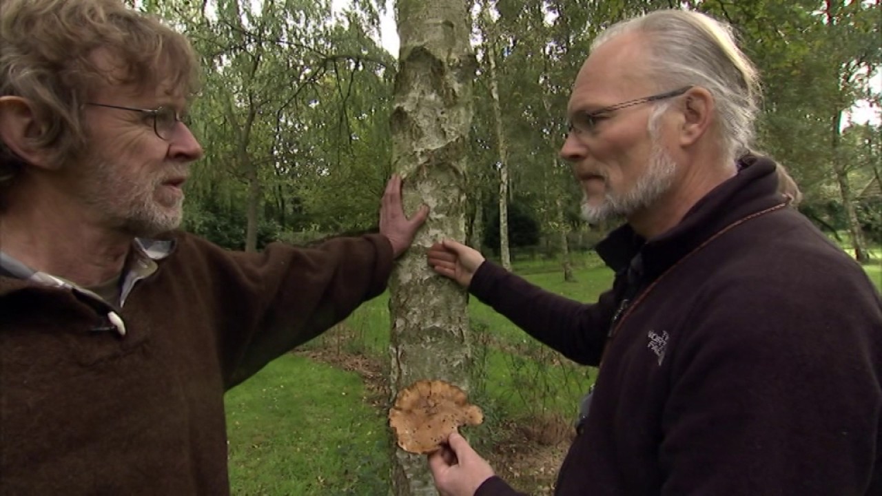 Søren Ryge og Svampemanden