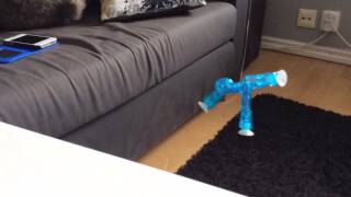 Stikbot fly