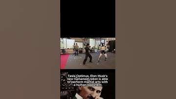 Tesla Robot Learns Kung Fu