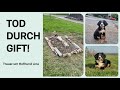 FarmVlog#166 - Hofhund Lina ist tot