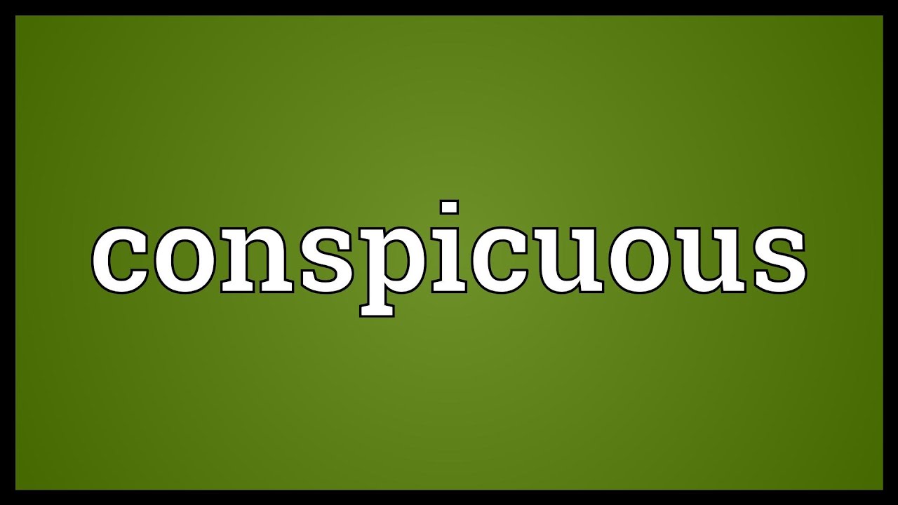Conspicuous Meaning
