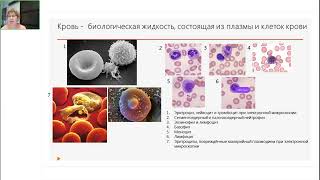 видео: Хронический лимфолейкоз (ХЛЛ). Онлайн-школа 19.11.2022 картинка: Хронический лимфолейкоз (ХЛЛ). Онлайн-школа 19.11.2022