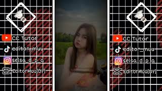 Jedag Jedug Lagu Dj Pet Copet Ngeri Capcut Template