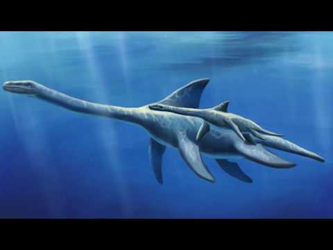 Vídeo: Los Primeros Dinosaurios De La Tierra Aparecieron Entre 5 Y 10 Millones De Años Antes De Lo Que Pensábamos - Vista Alternativa