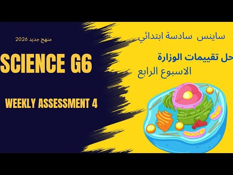 Science G 6 Weekly Assessment 4 حل تقييمات الوزارة الأسبوع الرابع ساينس سادسه ابتدائي ترم اول