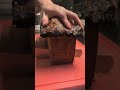 パテアンクルート pâté en croûte