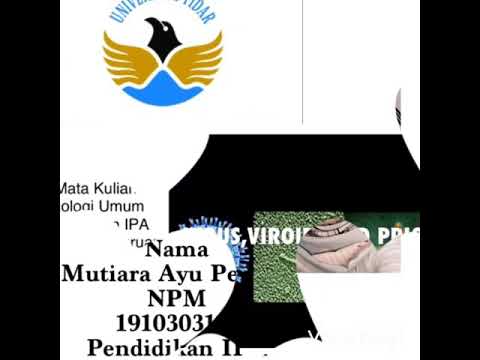 Video: Perbezaan Antara Prion Dan Viroid