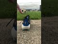 Adidas Football Boots Predator ELITE FT AG