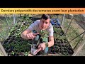 Derniers prparatifs des tomates avant leur plantation