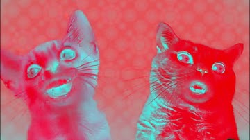 Preview 2 Numa Cat Effects 5