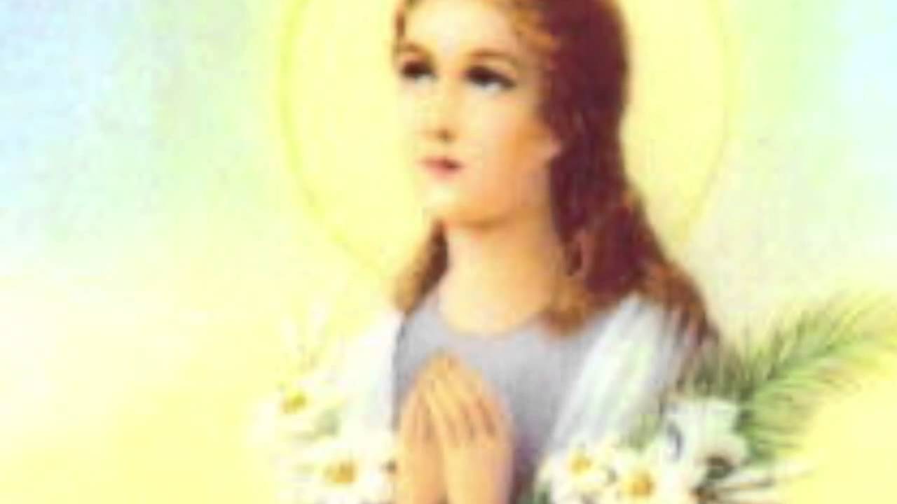Fr. Mark Goring - St. Maria Goretti - YouTube