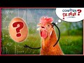 Un oeuf de poule  combien a pse 