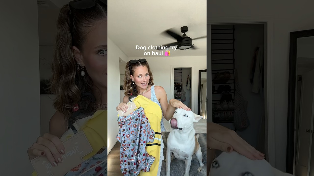 New clothes for my dog🐶🧥✨ #dogshorts #dog #pets #dogmom #dogowner #shopping #haul #clothing #funny