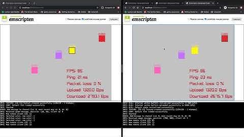 nbnet WebRTC raylib example.