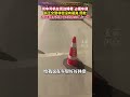 大货车横在路边“占据车道” #浙江交警搬来反光锥让货车司机好好休息  “睡醒把反光锥放路边就行!”(供稿:源-视频)#货车司机 #记录卡车生活在路上