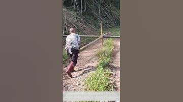 One Push Four Opens: Mountain Forest Cross-Split Bamboo Technique