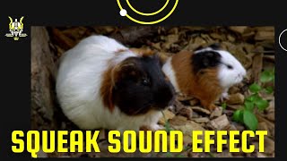Squeak sound effect- sound, sound waves, white noise, sound effects, sound effects youtubers use