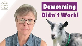 Worms Were Killing My Goats