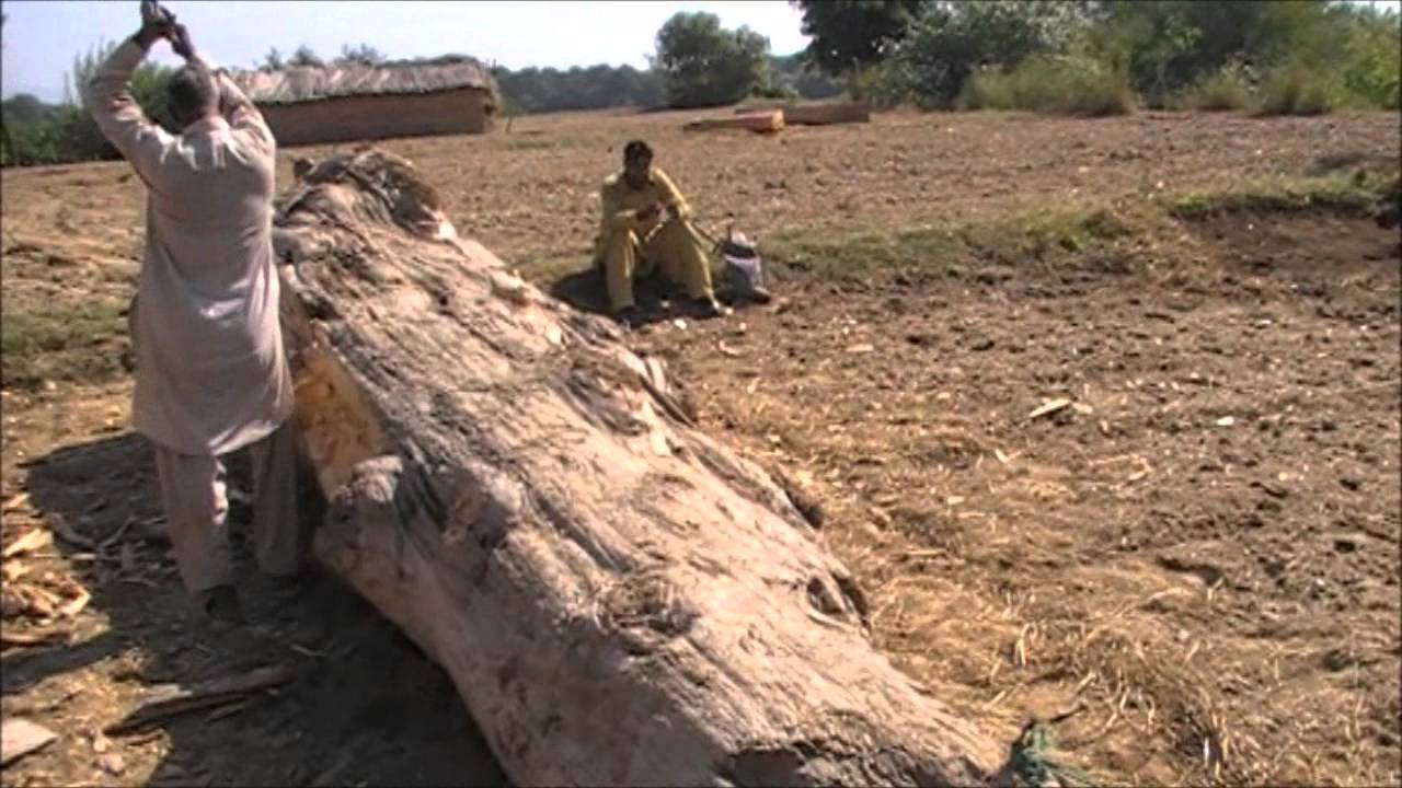 panyam-flood-wood-mangla-dam-chakswari-youtube