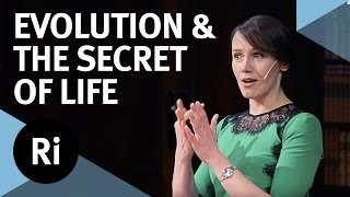 Copy number variation and the secret of life  with Aoife McLysaght