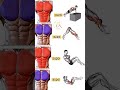 Best home chest workouts 💪 #shorts #fitness #gym