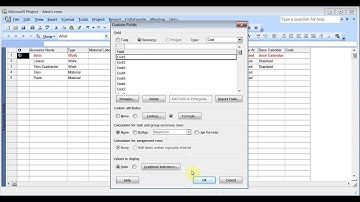 Microsoft Project 2007 Pt 4 (Advanced Formatting, Custom Fields & Macros)