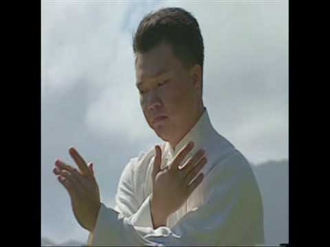 Master Alex Dong taijiquan