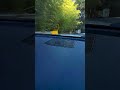 Mx5 POV REMEMBER F.Y.C