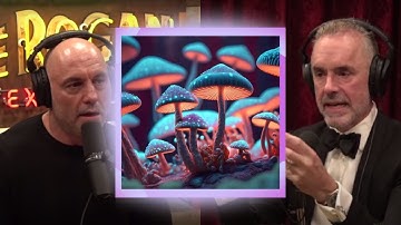 Jordan Peterson His Experience With Psychedelics | Joe Rogan