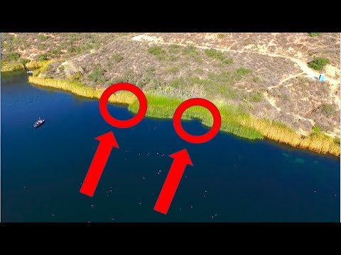 What to Look for to Catch BASS! Largemouth Bass Fishing at Dixon Lake.