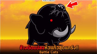 ช้างดัดแปลงหัวแก้วสุดแกร่ง Battle Cats