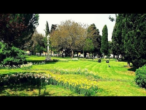 Fenerbahçe Park | Kadıköy | İstanbul Turkey 🇹🇷 - YouTube