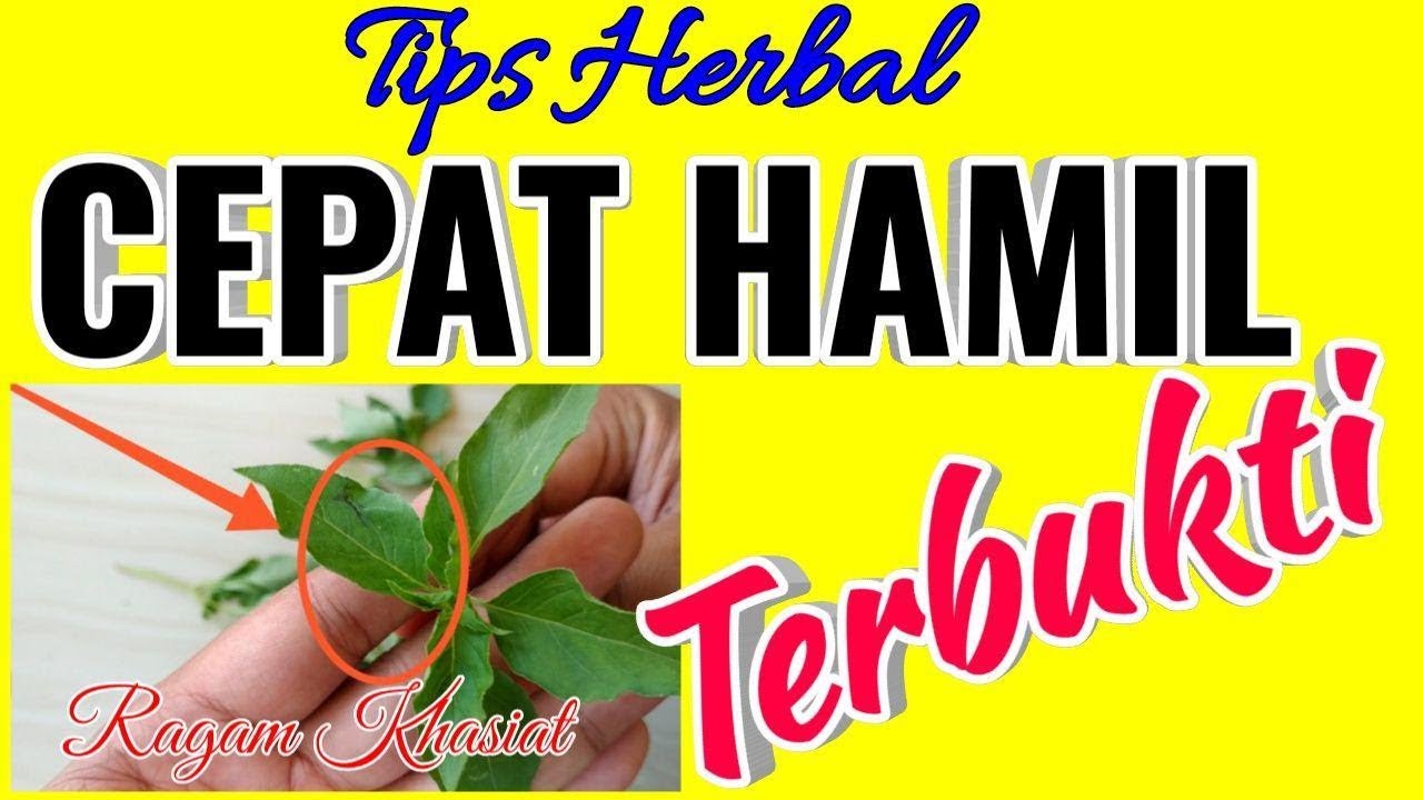Tips Cepat Punya Keturunan Dengan Bahan Herbal |Manfaat