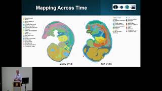Mapping spatial omics when tissue architecture doesn’t... - Patrick Martin - GenCompBio - ISMB 2024 Profile