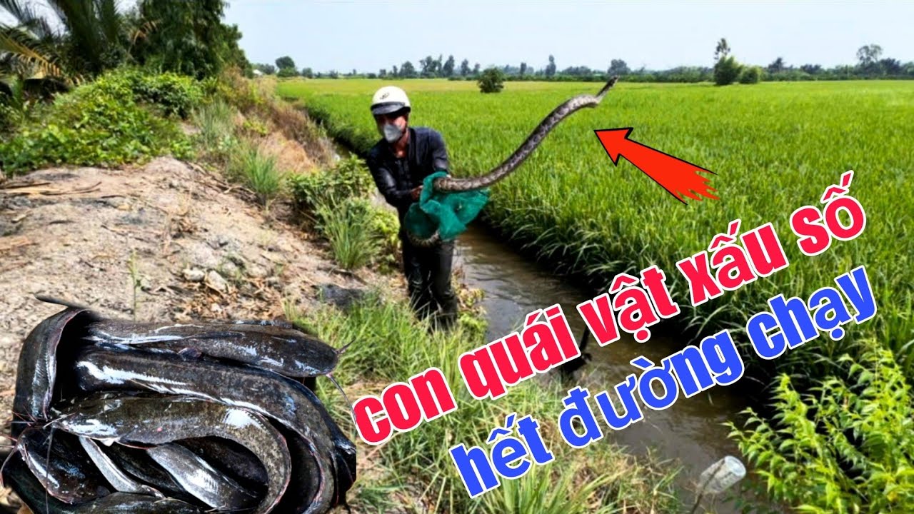 Thăm 12 Cửa Ngục Không Thể Nào Tin Được 3 Con QUÁI VẬT 30 Ký Quá Khủng Khiếp 