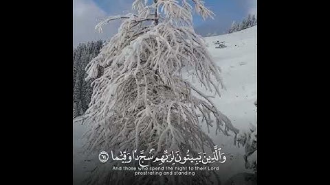 تلاوه خاشعه  القارئ عبد الرحمن الحميداني..