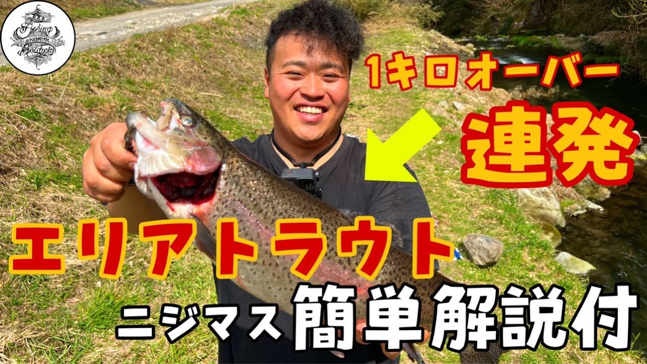 エリアトラウト 所詮 管理釣り場でしょ ところが１キロ連発 そのポテンシャルにどハマりした 釣り方解説アリ Youtube