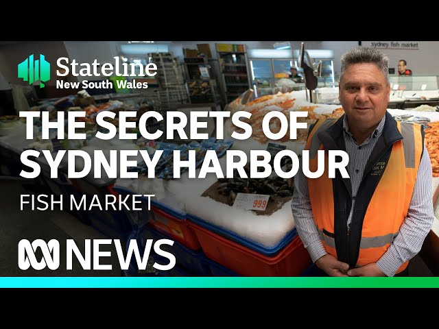 Behind the scenes at the Sydney Fish Market | Stateline | ABC News