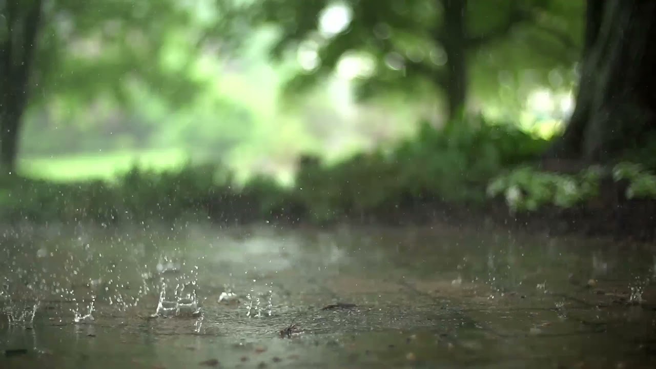 RAIN SLOW MOTION HD 4K (ULTRA HD) NATURE/ RAIN SLOW MOTION
