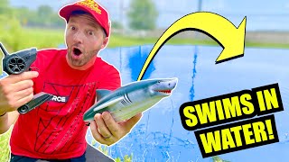 RC SHARK BOAT ADVENTURE (Transforms Into Jaws!)