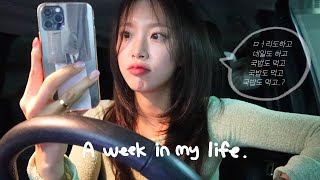 [VLOG] DAILY VLOG | FINALLY BACK HOME! | TONING IT A LITTLE DARKER WITH LAYERED CUTS | JUNHO HAIR |