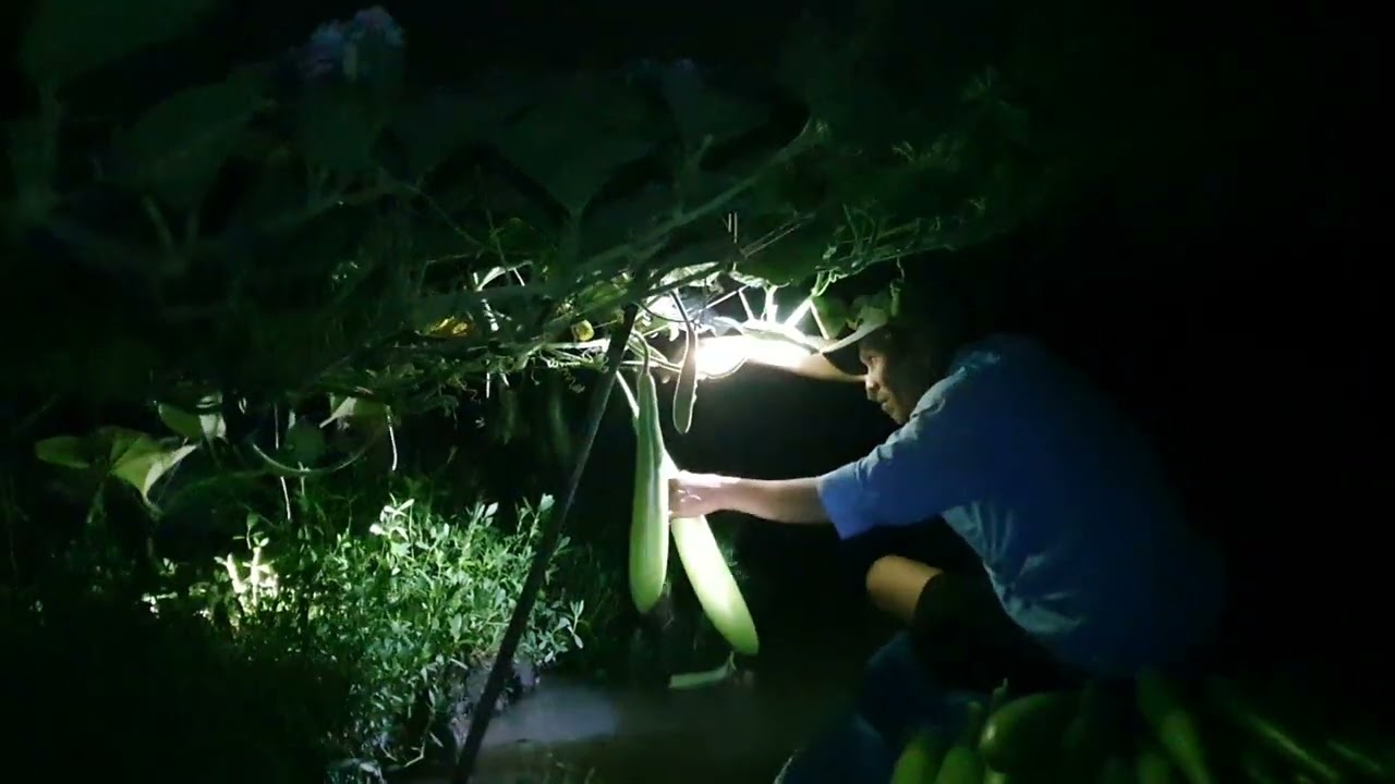              Nhớ đợt bầu tháng 3 năm 2025 vừa rồi 