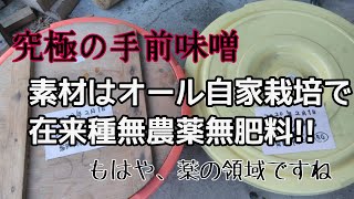 【手前味噌作り】在来種無肥料素材100%で毎年仕込んでいます