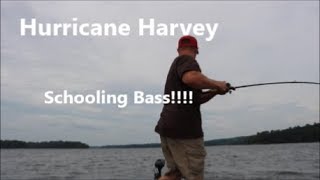 Catching Schooling Bass During A Hurricane!!! by Rustbucket Revival 355 views 6 years ago 15 minutes