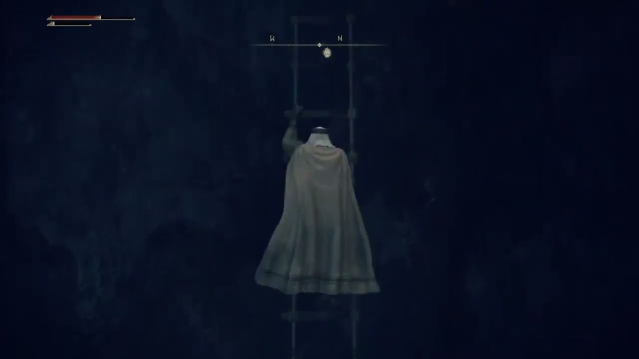 Elden Ring: Snake Eater