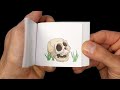 Skull Flipbook 💀