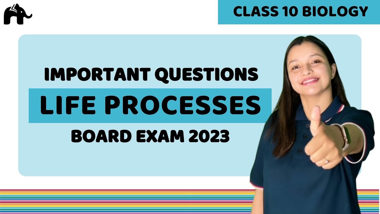 Life Processes Class 10 Biology | Important Questions and Topics for ...