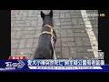 愛犬小棒突然死亡 飼主疑公園有老鼠藥｜TVBS新聞 @TVBSNEWS02