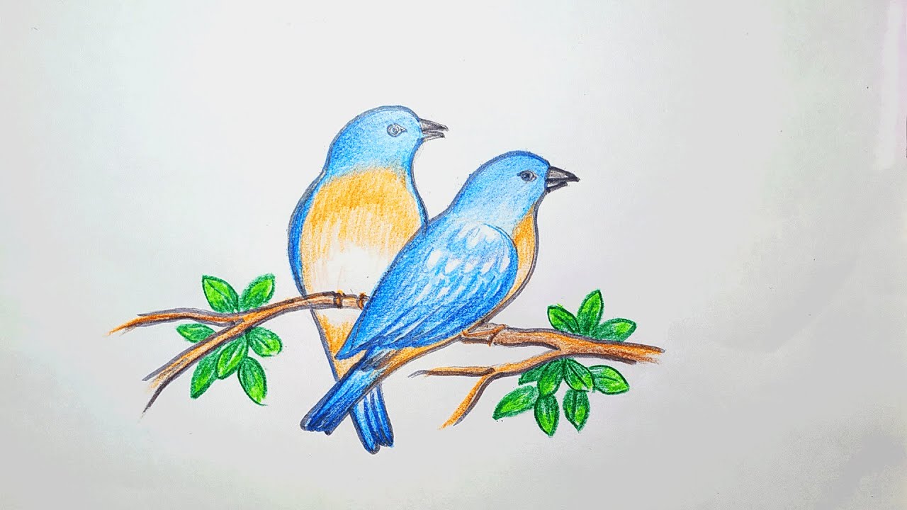 Bird Drawing Background Images, HD Pictures and Wallpaper For Free Download  | Pngtree